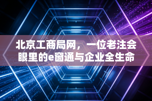 北京工商局网，一位老注会眼里的e窗通与企业全生命周期生存实录