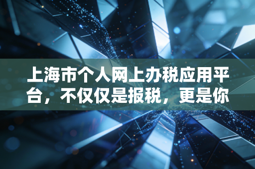 上海市个人网上办税应用平台，不仅仅是报税，更是你财富管理的第一道防线