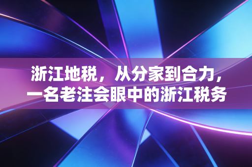 浙江地税，从分家到合力，一名老注会眼中的浙江税务变迁与服务哲学