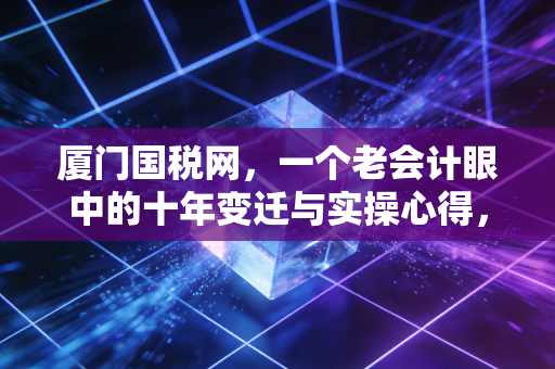 厦门国税网，一个老会计眼中的十年变迁与实操心得，教你如何搞定税务那些事儿