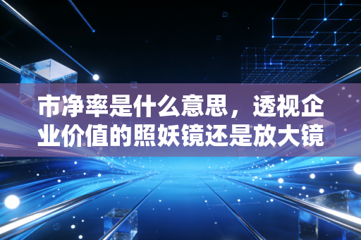 市净率是什么意思，透视企业价值的照妖镜还是放大镜？