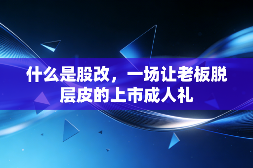 什么是股改,一场让老板脱层皮的上市成人礼