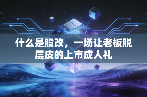 什么是股改，一场让老板脱层皮的上市成人礼