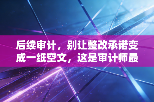 后续审计，别让整改承诺变成一纸空文，这是审计师最后的倔强