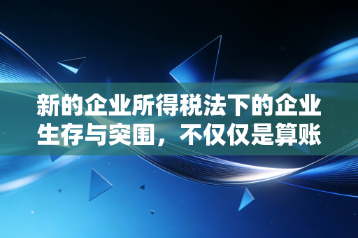 新的企业所得税法下的企业生存与突围,不仅仅是算账,更是战略