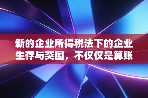 新的企业所得税法下的企业生存与突围，不仅仅是算账，更是战略