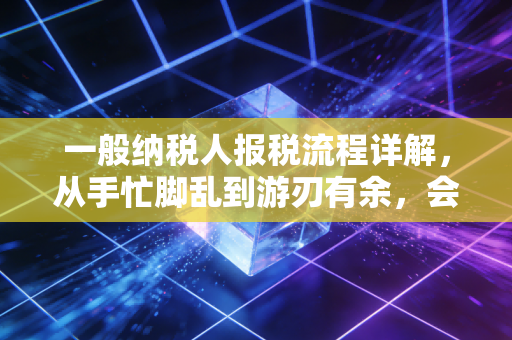 一般纳税人报税流程详解,从手忙脚乱到游刃有余,会计人必看的避坑指南