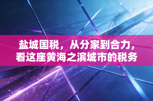 盐城国税,从分家到合力,看这座黄海之滨城市的税务变迁与企业生存之道
