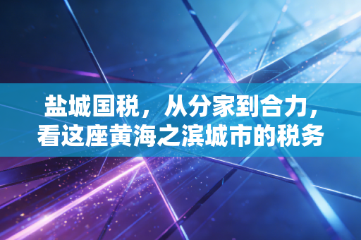 盐城国税，从分家到合力，看这座黄海之滨城市的税务变迁与企业生存之道