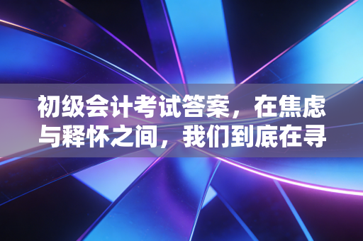 初级会计考试答案，在焦虑与释怀之间，我们到底在寻找什么？