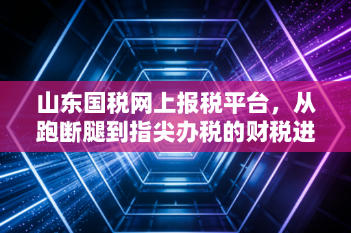 山东国税网上报税平台，从跑断腿到指尖办税的财税进化论