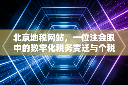 北京地税网站,一位注会眼中的数字化税务变迁与个税申报实操指南
