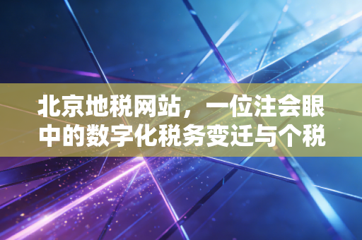 北京地税网站，一位注会眼中的数字化税务变迁与个税申报实操指南