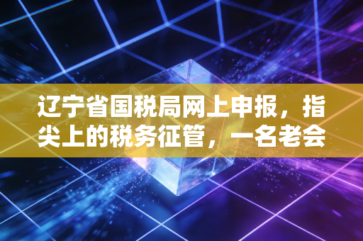 辽宁省国税局网上申报，指尖上的税务征管，一名老会计眼中的效率与焦虑