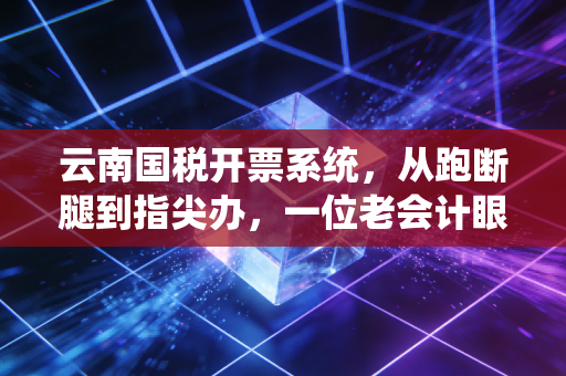 云南国税开票系统,从跑断腿到指尖办,一位老会计眼中的数字化变迁