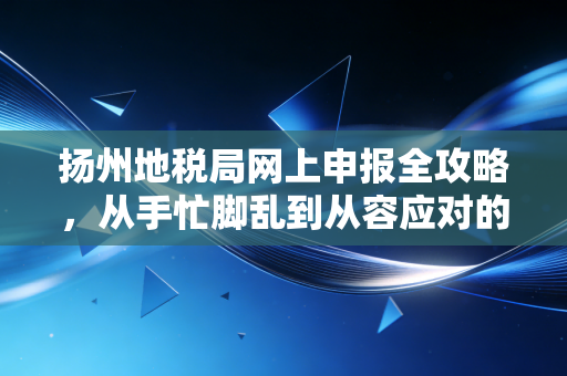 扬州地税局网上申报全攻略,从手忙脚乱到从容应对的进阶之路