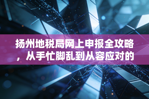 扬州地税局网上申报全攻略，从手忙脚乱到从容应对的进阶之路