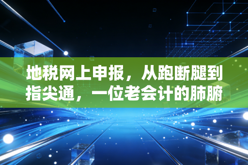 地税网上申报，从跑断腿到指尖通，一位老会计的肺腑之言