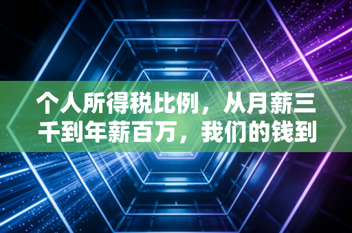 个人所得税比例，从月薪三千到年薪百万，我们的钱到底去哪了？
