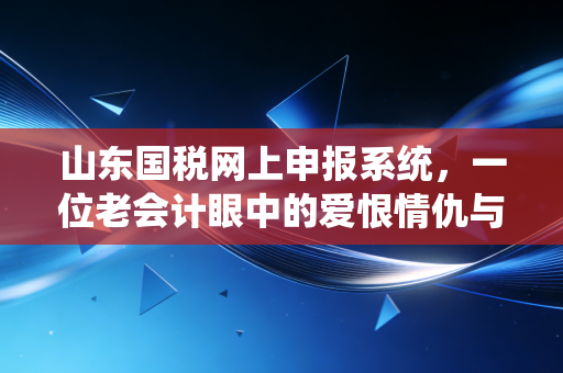 山东国税网上申报系统，一位老会计眼中的爱恨情仇与实战避坑指南