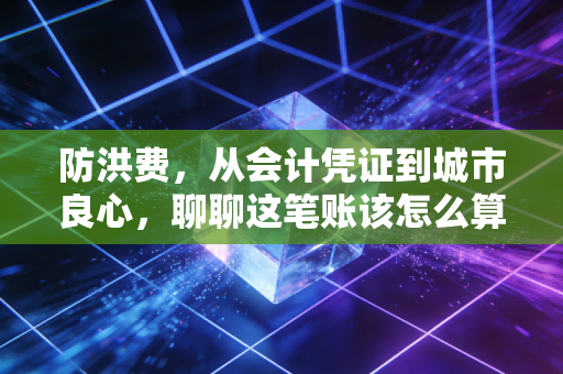 防洪费,从会计凭证到城市良心,聊聊这笔账该怎么算
