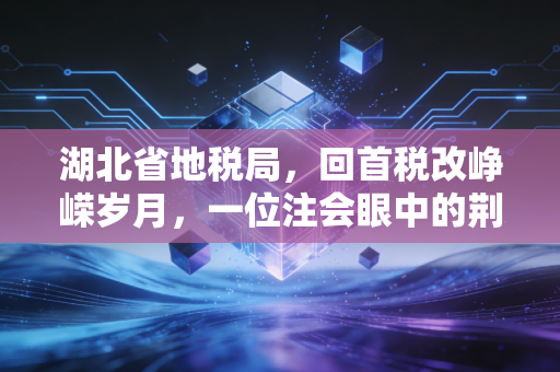 湖北省地税局,回首税改峥嵘岁月,一位注会眼中的荆楚税务变迁与未来展望