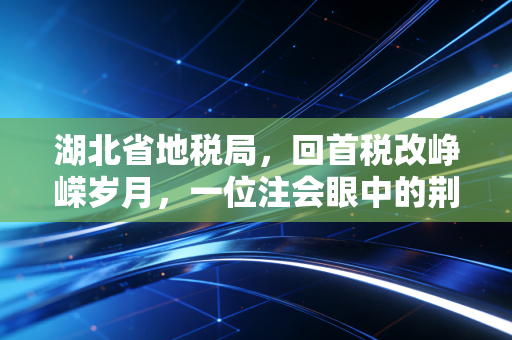 湖北省地税局,回首税改峥嵘岁月,一位注会眼中的荆楚税务变迁与未来展望