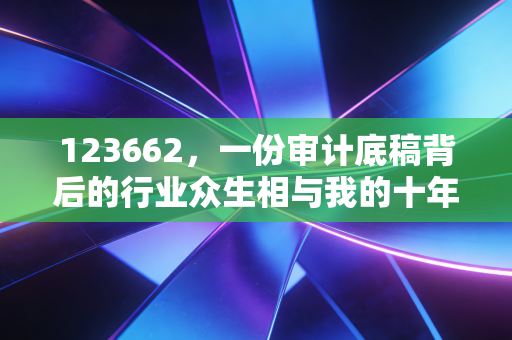 123662，一份审计底稿背后的行业众生相与我的十年注会路