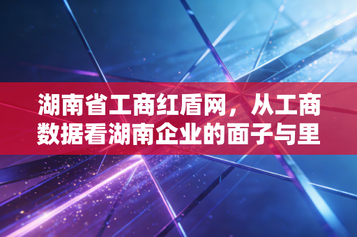 湖南省工商红盾网，从工商数据看湖南企业的面子与里子——一位注会师的深度观察