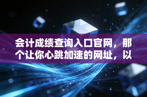会计成绩查询入口官网，那个让你心跳加速的网址，以及查分后的真实人生