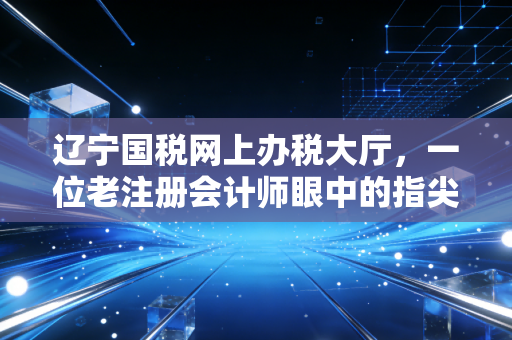 辽宁国税网上办税大厅,一位老注册会计师眼中的指尖上的税务革命