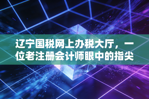 辽宁国税网上办税大厅,一位老注册会计师眼中的指尖上的税务革命
