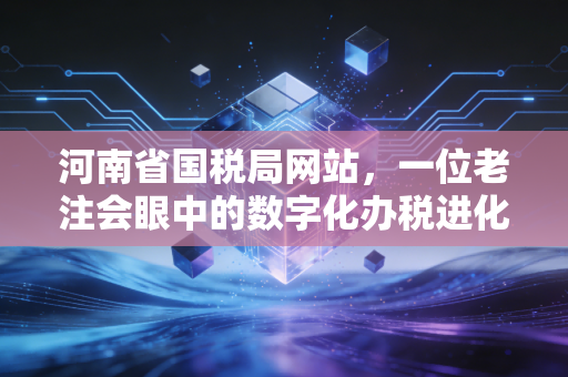 河南省国税局网站，一位老注会眼中的数字化办税进化论与实战心得