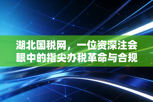 湖北国税网,一位资深注会眼中的指尖办税革命与合规生存指南