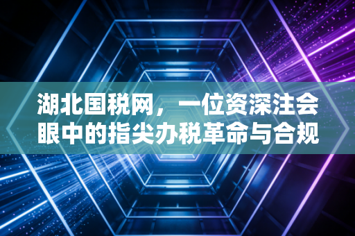 湖北国税网,一位资深注会眼中的指尖办税革命与合规生存指南