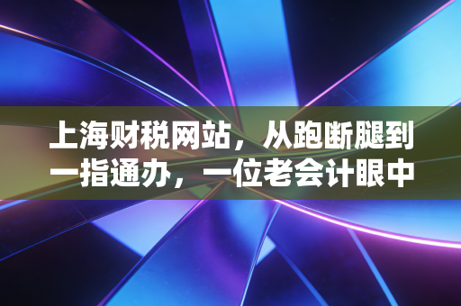 上海财税网站，从跑断腿到一指通办，一位老会计眼中的上海税务数字化变迁