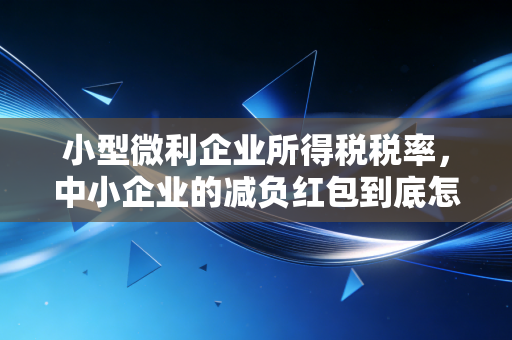 小型微利企业所得税税率，中小企业的减负红包到底怎么拿？——一位注会眼中的生存智慧