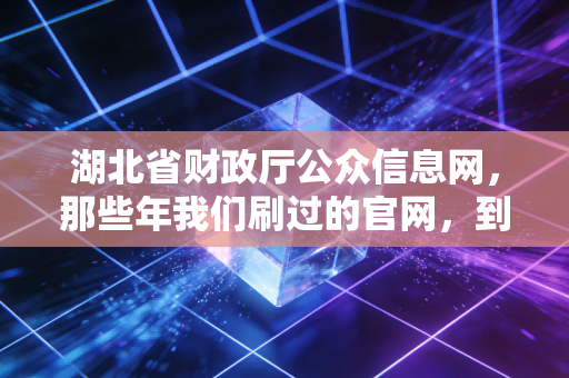 湖北省财政厅公众信息网，那些年我们刷过的官网，到底藏着多少CPA的秘密？