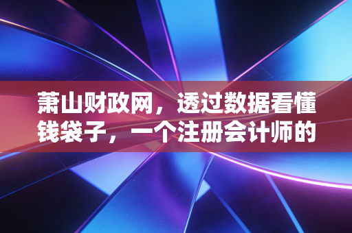 萧山财政网,透过数据看懂钱袋子,一个注册会计师的深度观察与生活随想