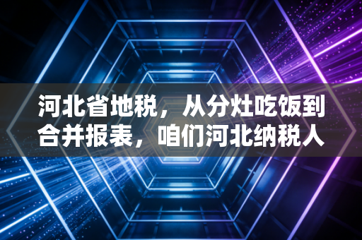 河北省地税，从分灶吃饭到合并报表，咱们河北纳税人的这十年变局
