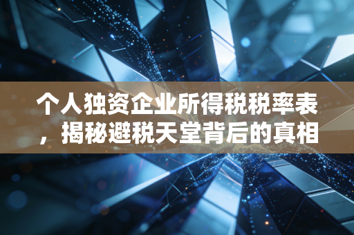 个人独资企业所得税税率表，揭秘避税天堂背后的真相与风险