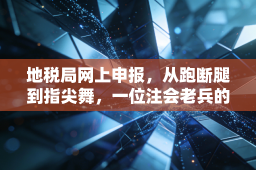 地税局网上申报，从跑断腿到指尖舞，一位注会老兵的实战感悟