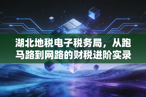 湖北地税电子税务局，从跑马路到网路的财税进阶实录