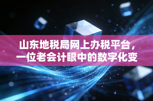 山东地税局网上办税平台，一位老会计眼中的数字化变迁与职业思考