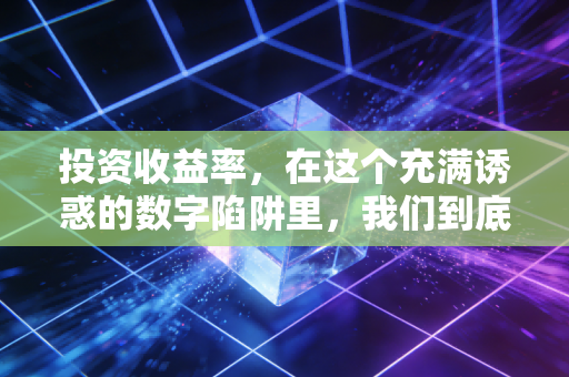 投资收益率，在这个充满诱惑的数字陷阱里，我们到底赚到了什么？