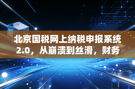 北京国税网上纳税申报系统2.0，从崩溃到丝滑，财务人不得不说的血泪史与进化论