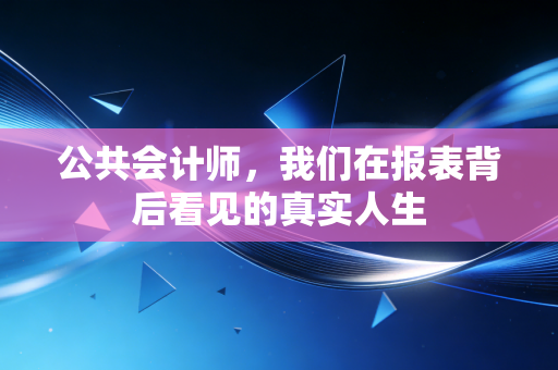 公共会计师,我们在报表背后看见的真实人生