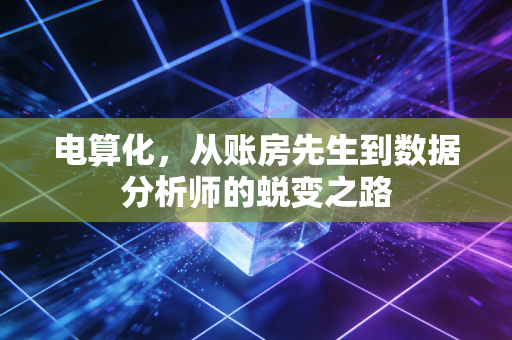 电算化，从账房先生到数据分析师的蜕变之路