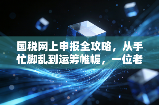 国税网上申报全攻略，从手忙脚乱到运筹帷幄，一位老会计的真心话