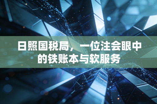日照国税局,一位注会眼中的铁账本与软服务